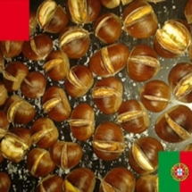 chataignes associations des portugais de la creuse